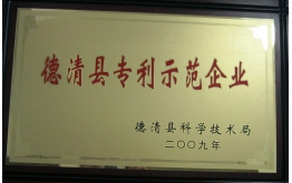 2009年德清县专利示范企业